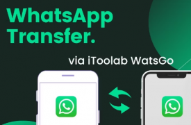 iToolab WatsGo 是 Transfer WhatsApp 的最佳替代品