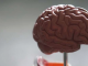 临床试验结果表明与植入式脑机接口相关的不良事件发生率较低