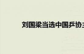 刘国梁当选中国乒协主席具体详细内容是什么