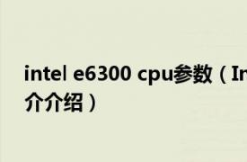 intel e6300 cpu参数（Intel Pentium E6300相关内容简介介绍）