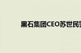 黑石集团CEO苏世民警告AI热潮威胁全球电网