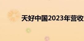 天好中国2023年营收近16亿元