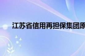 江苏省信用再担保集团原副总裁金维民接受审查调查