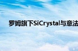 罗姆旗下SiCrystal与意法半导体扩大SiC晶圆供应合同