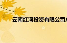 云南红河投资有限公司总经理张晓红接受审查调查